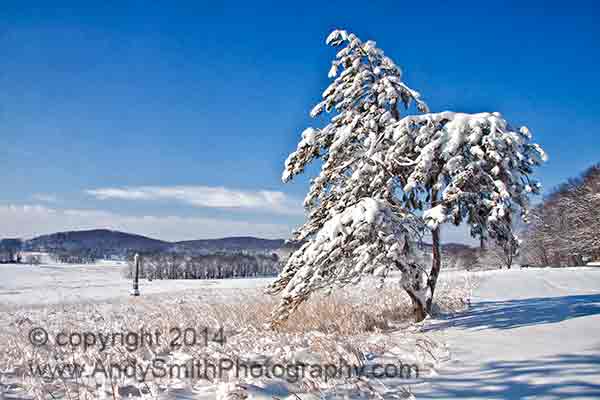 Winter Scene at Valley Forge